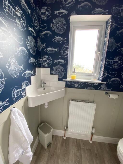 Sea Biscuit Cottage, Scarborough Zewnętrze zdjęcie